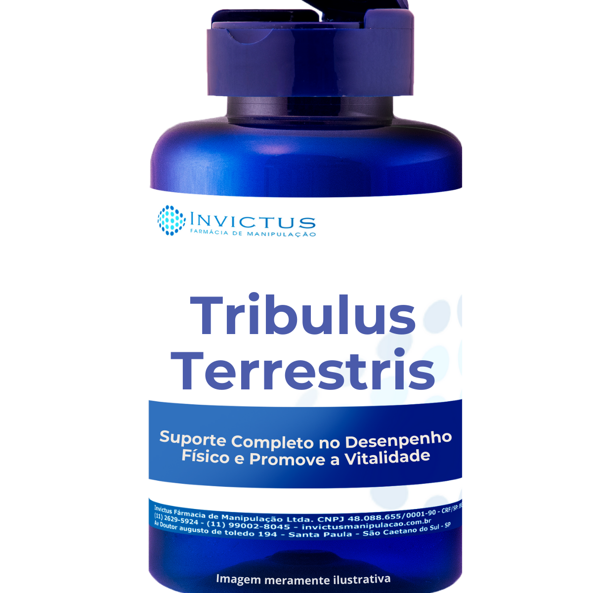 Tribulus terrestris