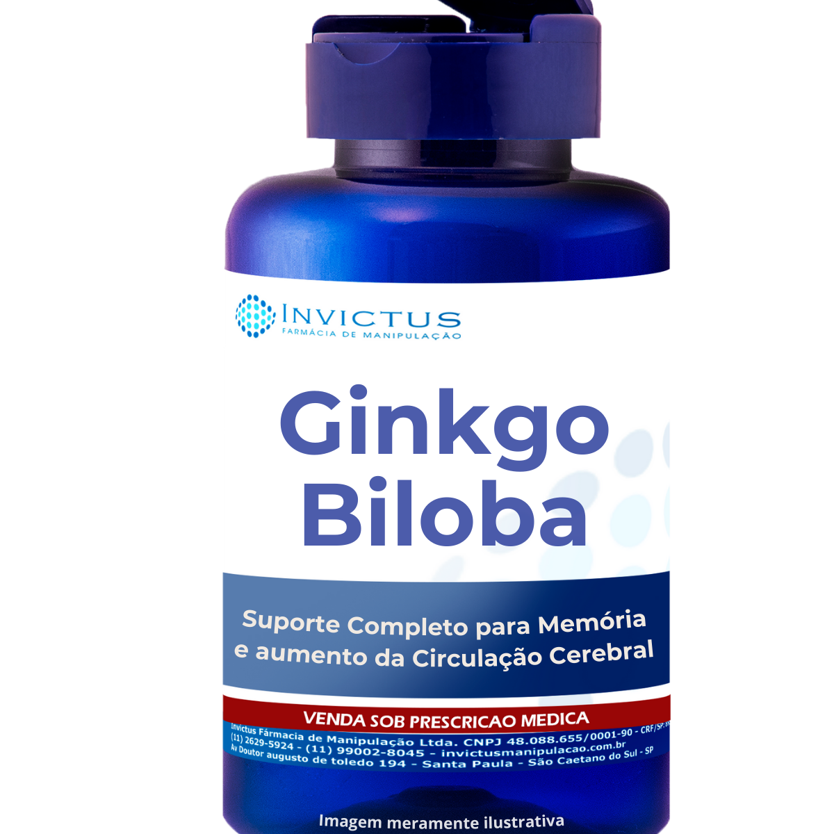 Ginkgo biloba