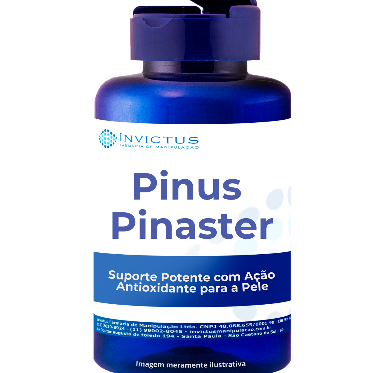 Pinus pinaster