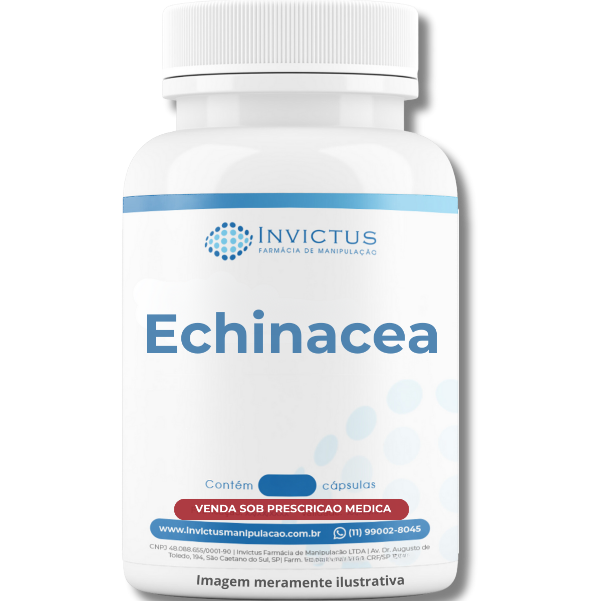 Echinacea