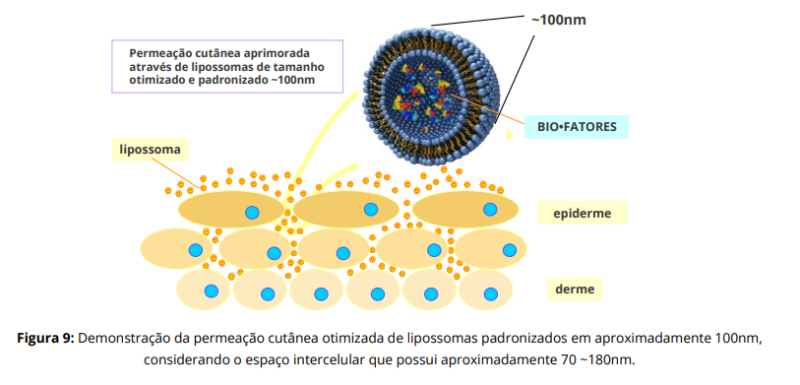 fatores-crescimento-lipossomados