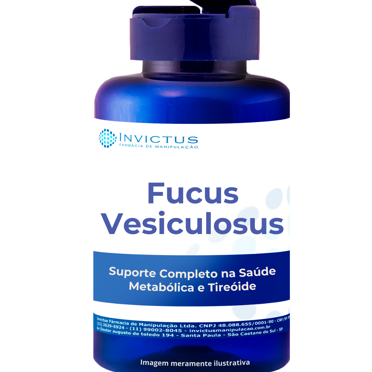 Fucus vesiculosus