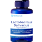 Lactobacillus salivarius