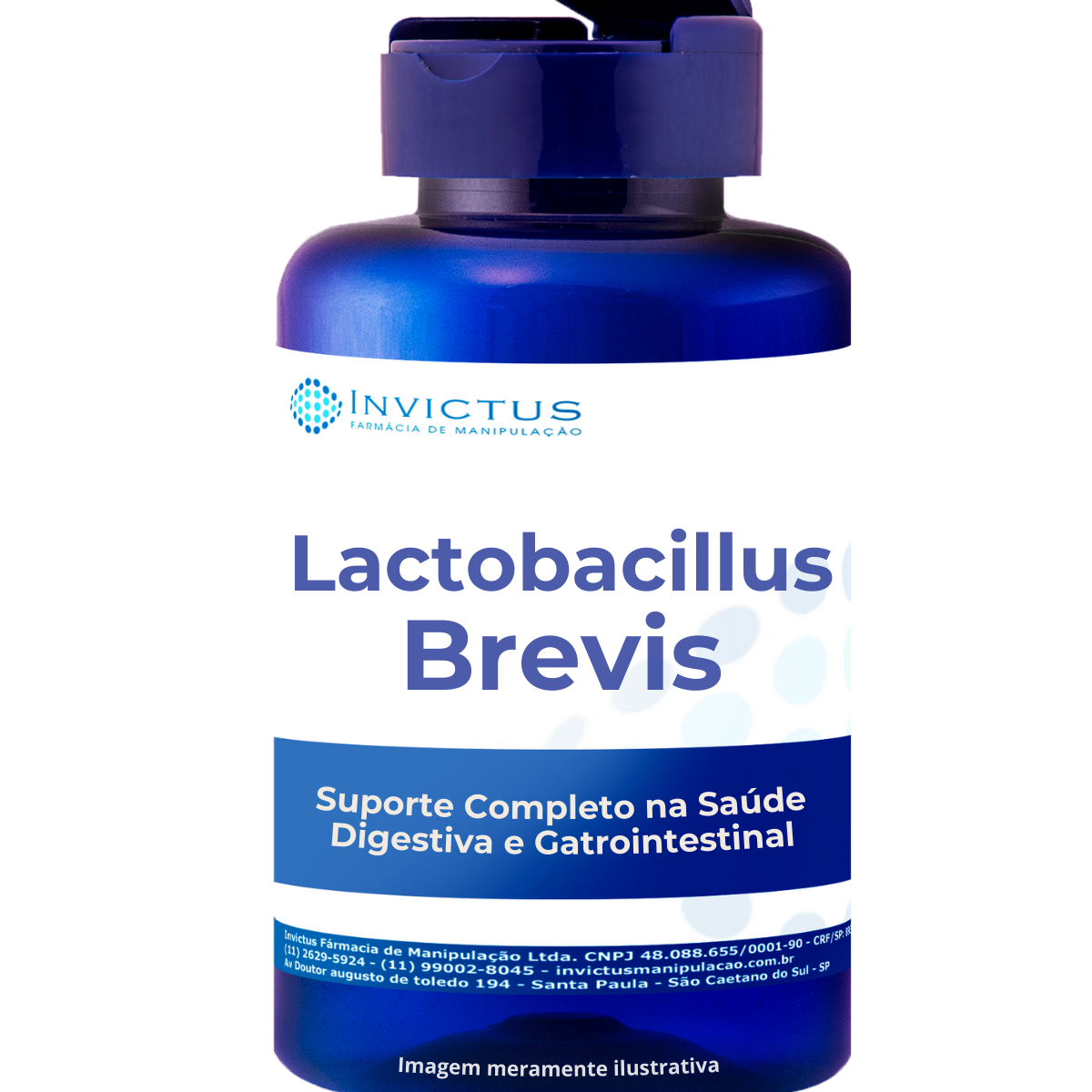 Lactobacillus brevis
