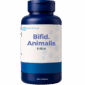 Bifid. animalis 5blh
