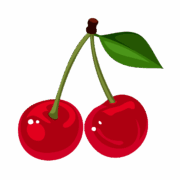 Novas embalagens (17)
